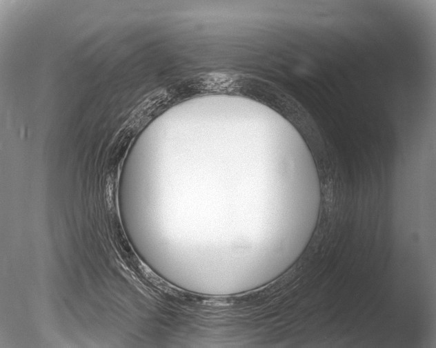 X0000086300602200703300930