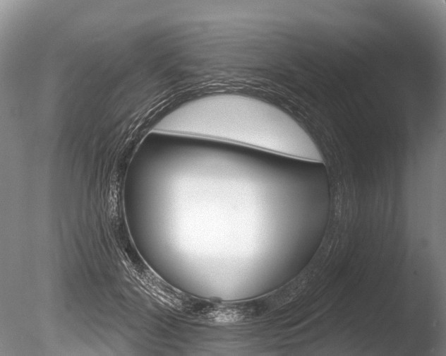 X0000086300604200703300930