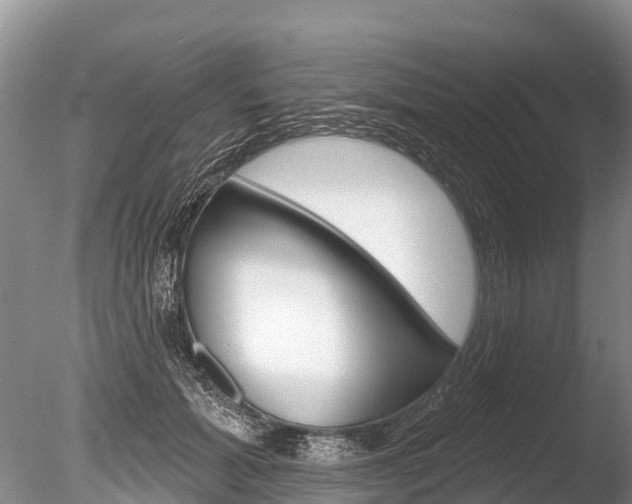 X0000086300605200703300930