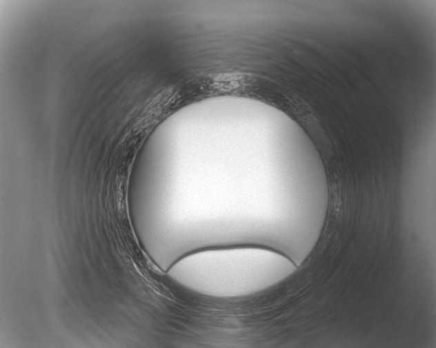 X0000086300606200703300930