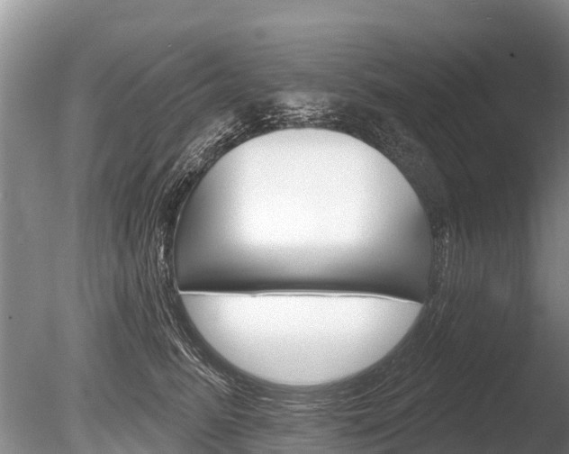 X0000086300615200703300930