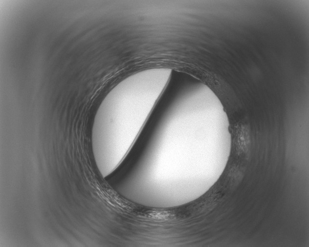X0000086300619200703300930