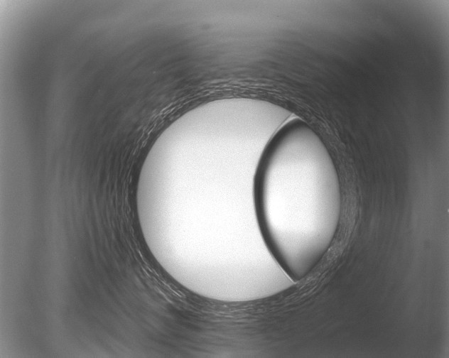 X0000086300624200703300930