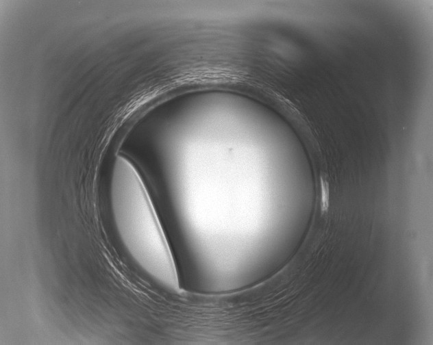 X0000086300627200703300929
