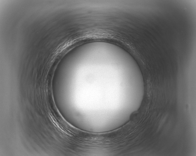 X0000086300631200703300929