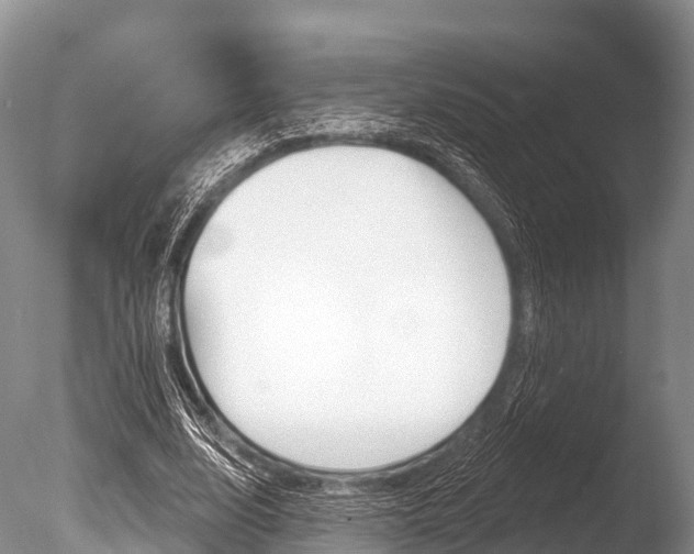 X0000086300632200703300929