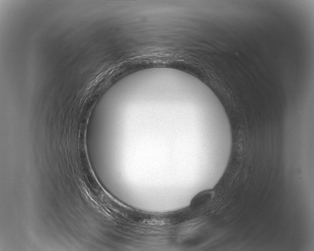 X0000086300639200703300929