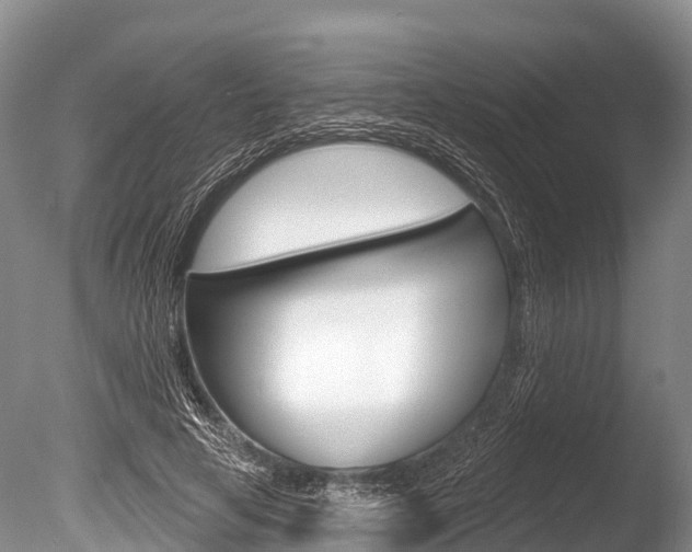 X0000086300641200703300929