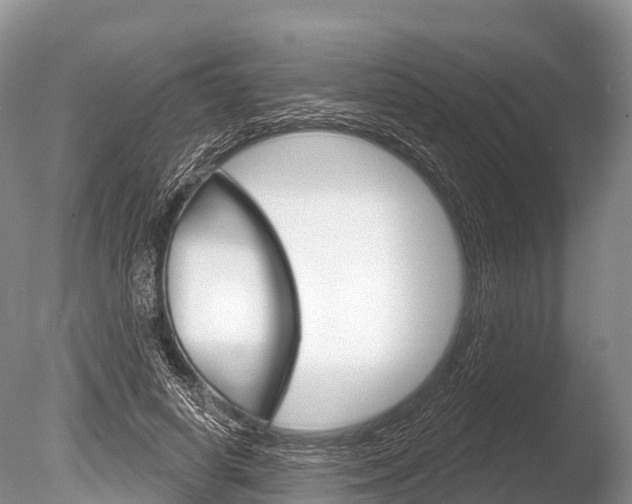 X0000086300642200703300929