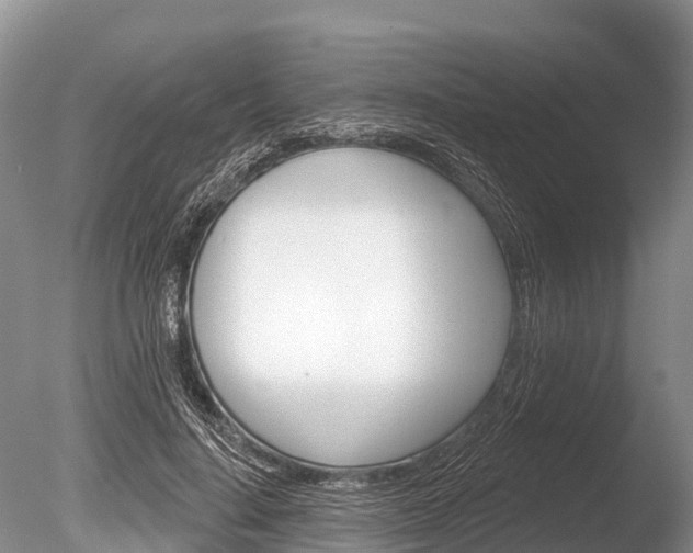 X0000086300644200703300929