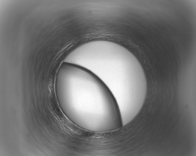 X0000086300648200703300929
