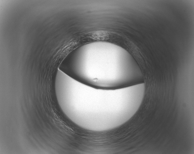 X0000086300652200703300930