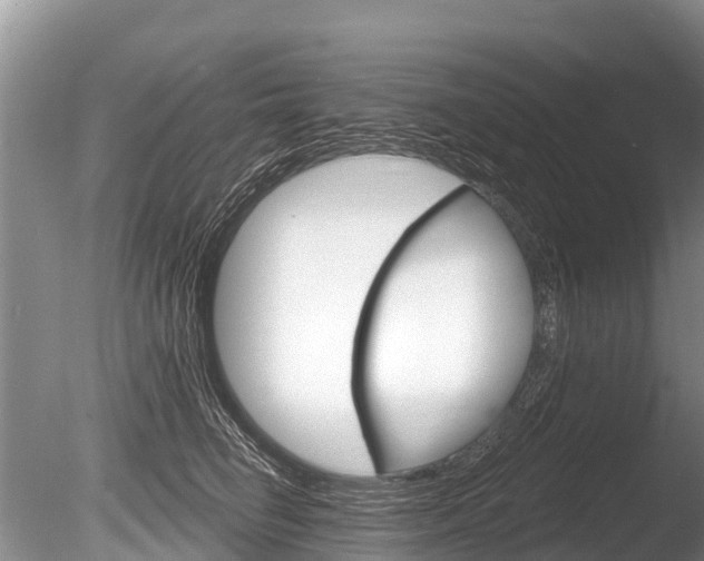 X0000086300662200703300930