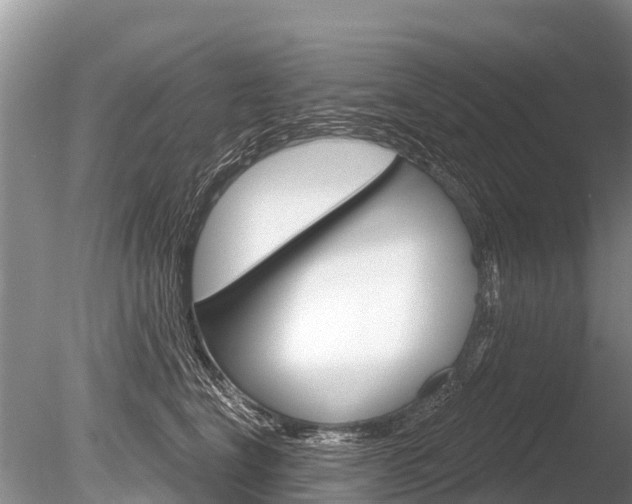 X0000086300664200703300930