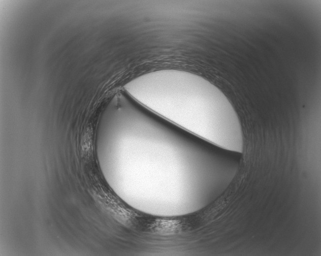 X0000086300665200703300930