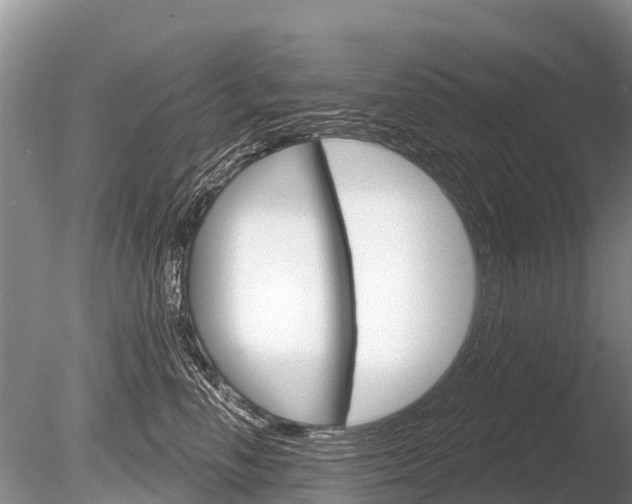 X0000086300666200703300930