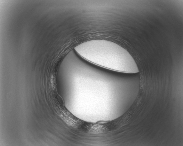 X0000086300669200703300930