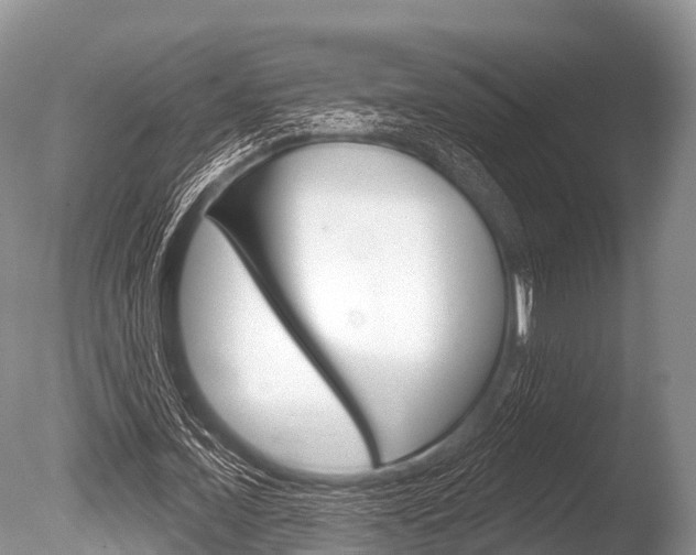 X0000086300675200703300929