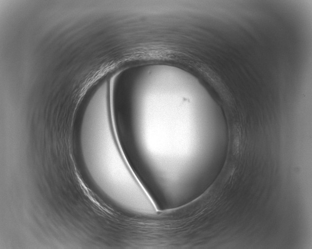 X0000086300677200703300929