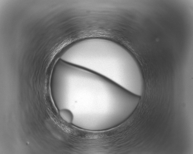 X0000086300679200703300929