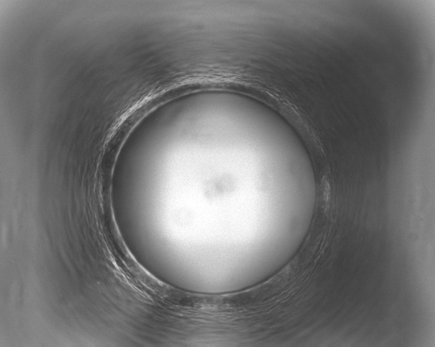 X0000086300684200703300929