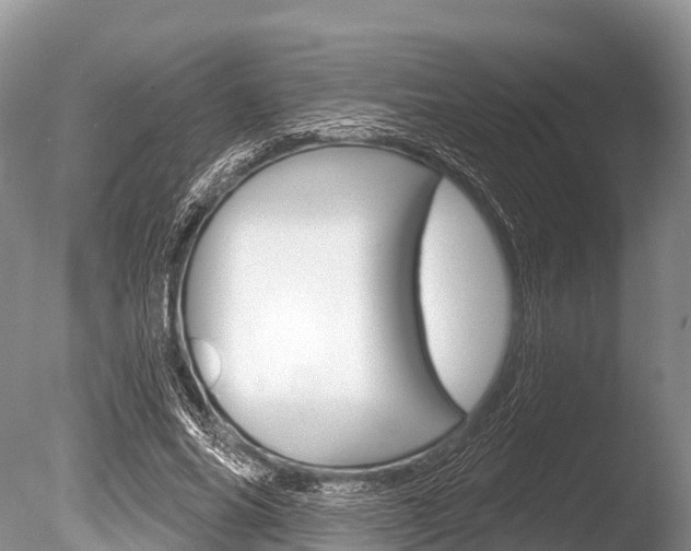 X0000086300686200703300929