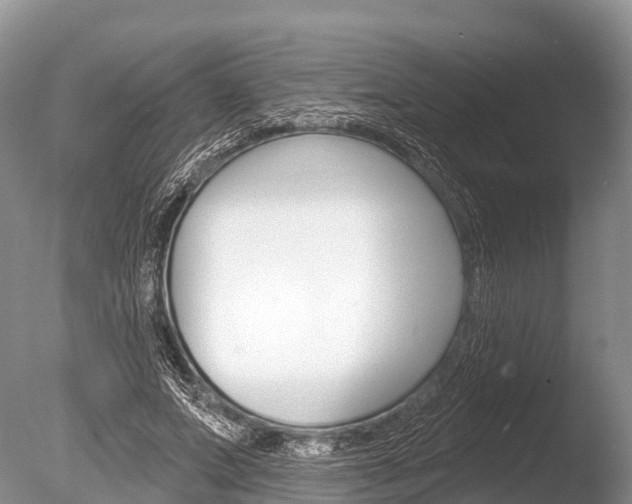 X0000086300687200703300929