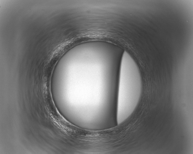 X0000086300688200703300929