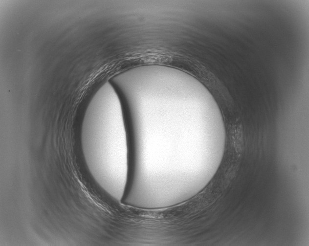 X0000086300690200703300929