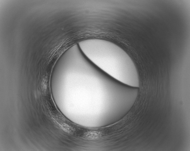 X0000086300691200703300929