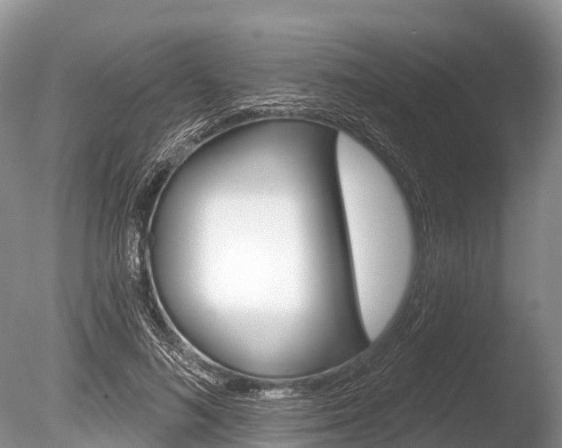 X0000086300692200703300929