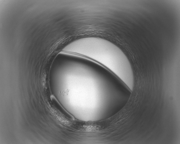 X0000086300693200703300929