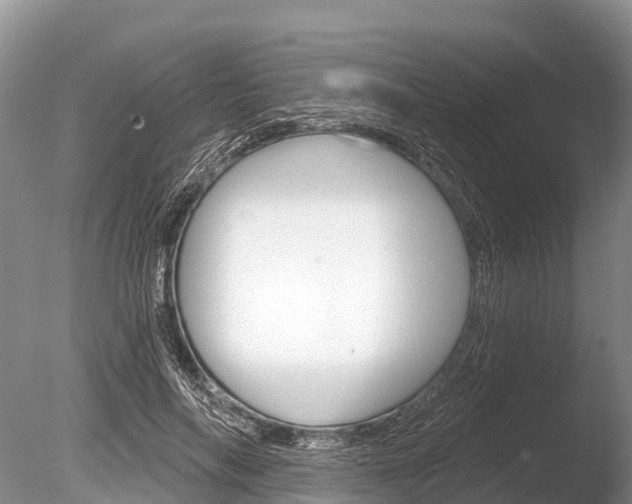 X0000086300694200703300929