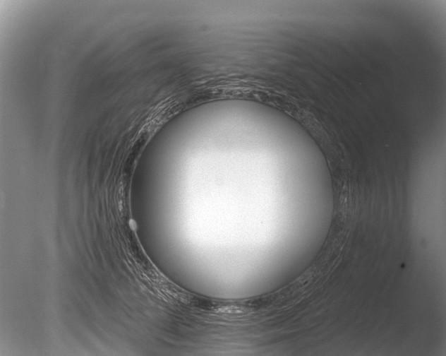 X0000086300708200703300928