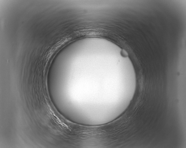X0000086300721200703300927