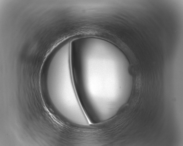 X0000086300722200703300927