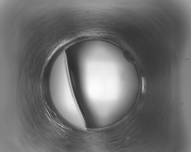 X0000086300723200703300927