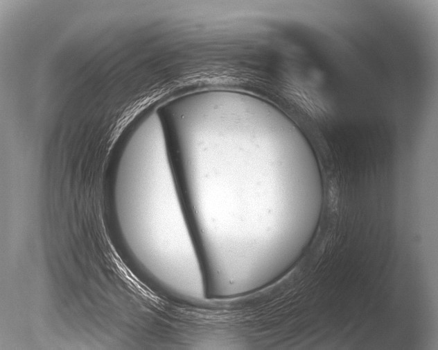 X0000086300725200703300927
