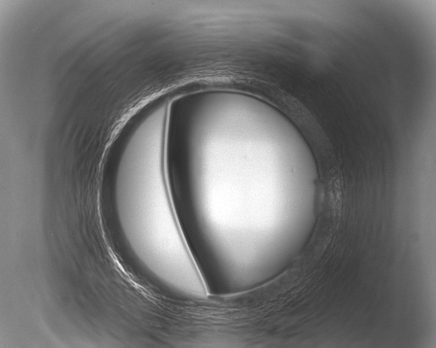 X0000086300728200703300928