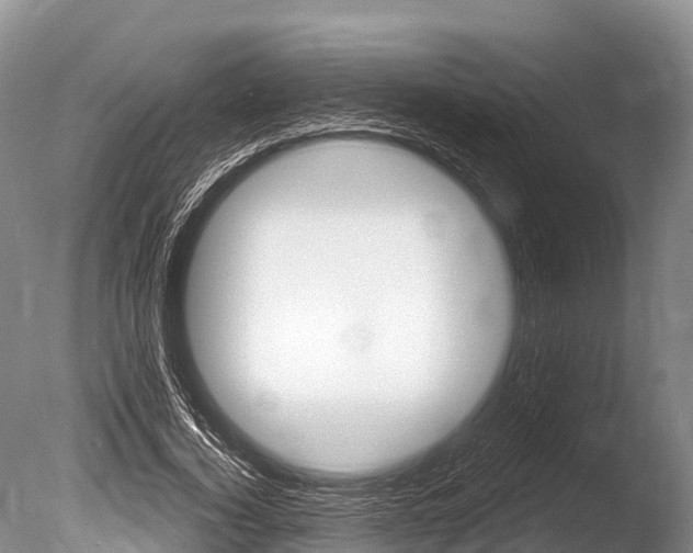 X0000086300732200703300928