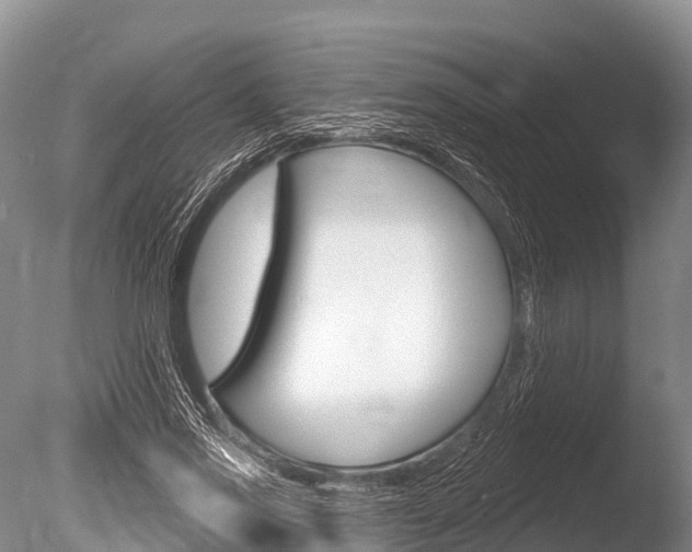 X0000086300733200703300928