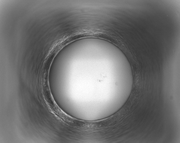 X0000086300736200703300928