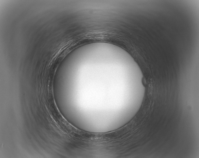X0000086300739200703300928