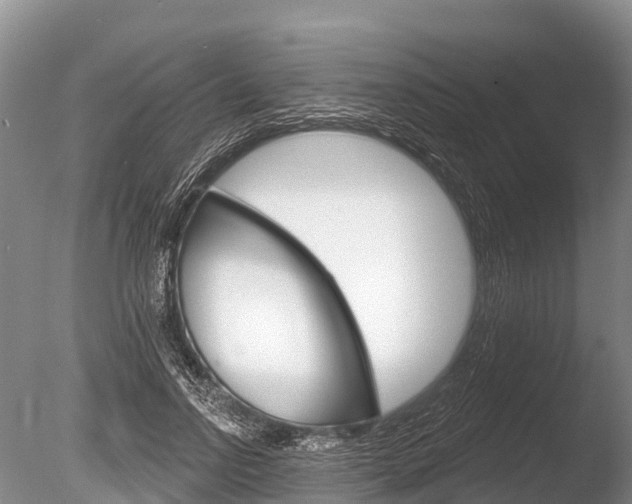 X0000086300742200703300928