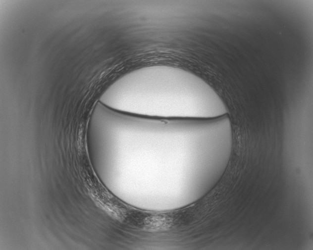 X0000086300745200703300928