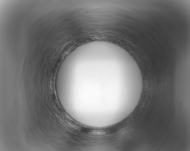 X0000086300749200703300928