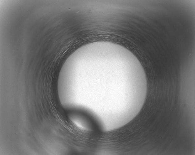 X0000086300750200703300928