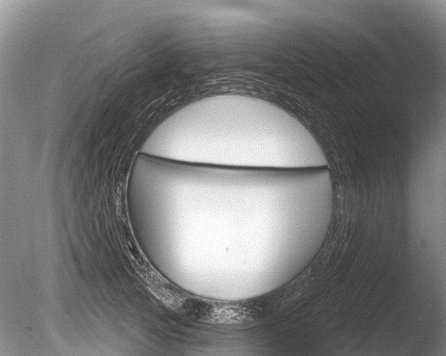 X0000086300753200703300928