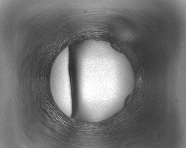 X0000086300772200703300927