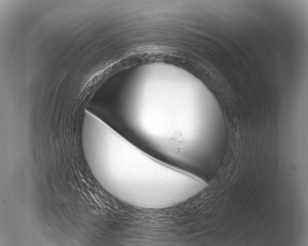 X0000086300775200703300927